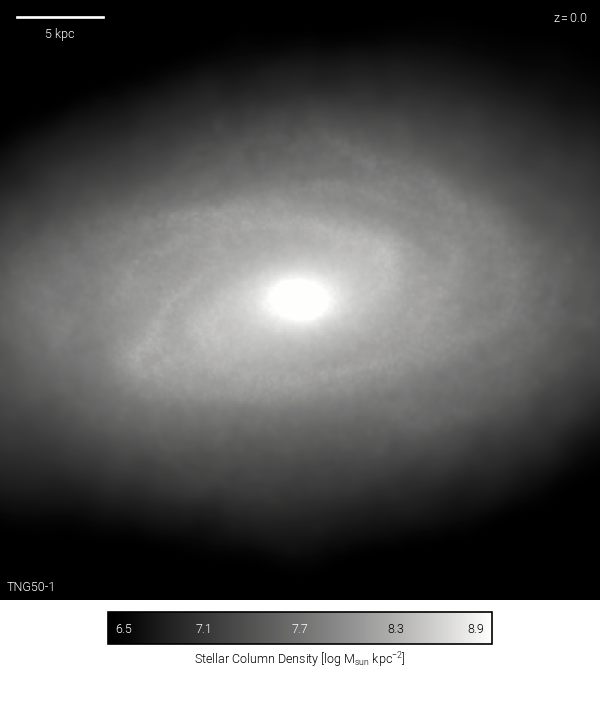 vis_TNG50-1_subhalo_99_488530_stars_coldens_msunkpc2.png